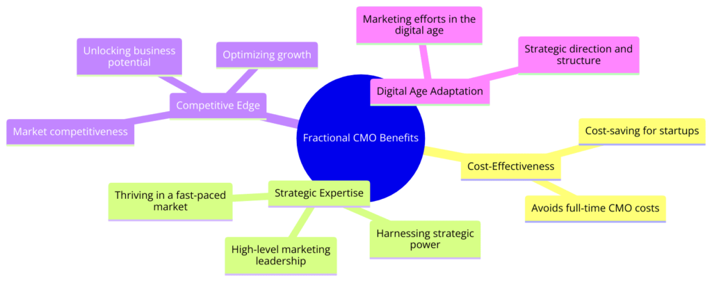 benefits of hiring a Fractional CMO diagram